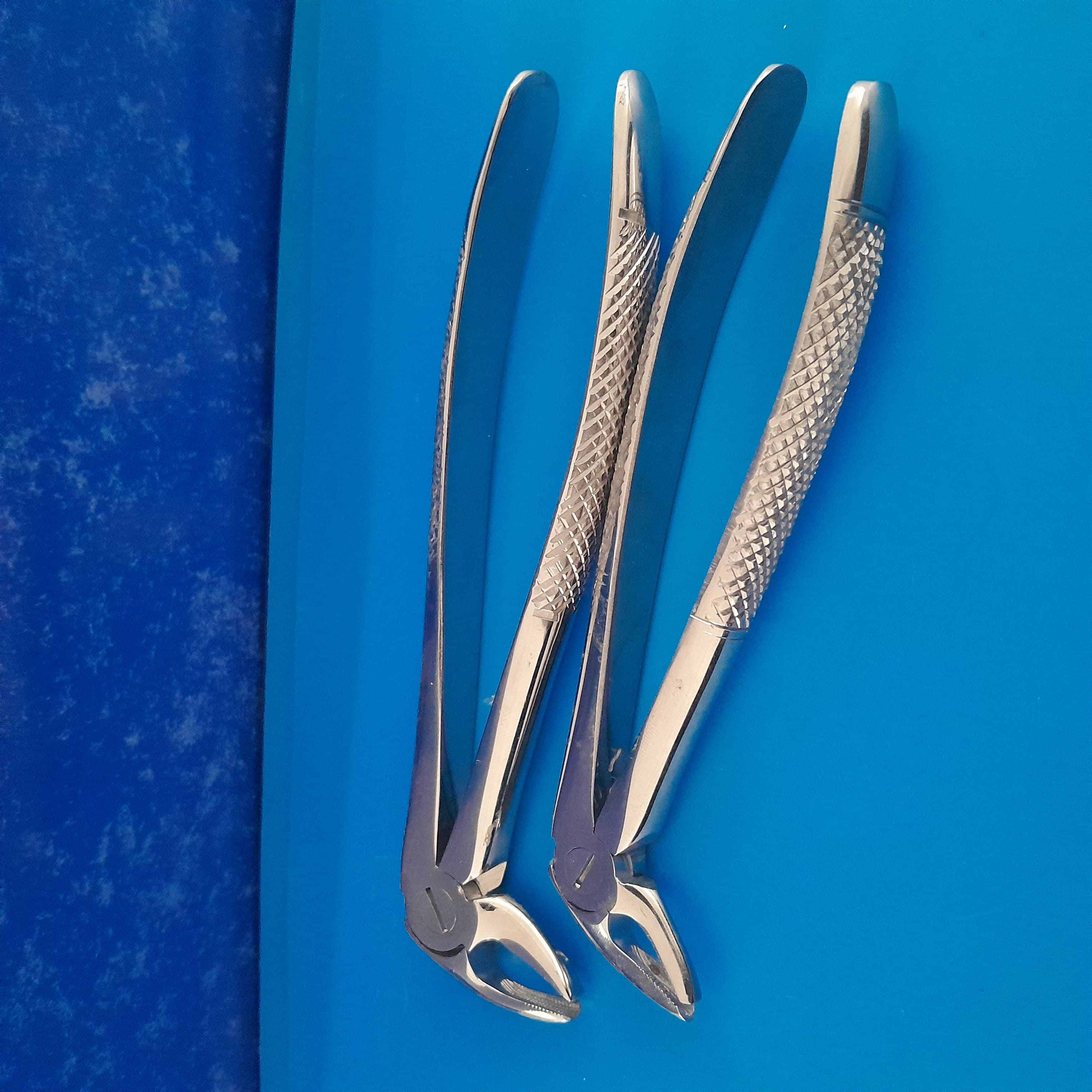 Lower Premolar Forcep