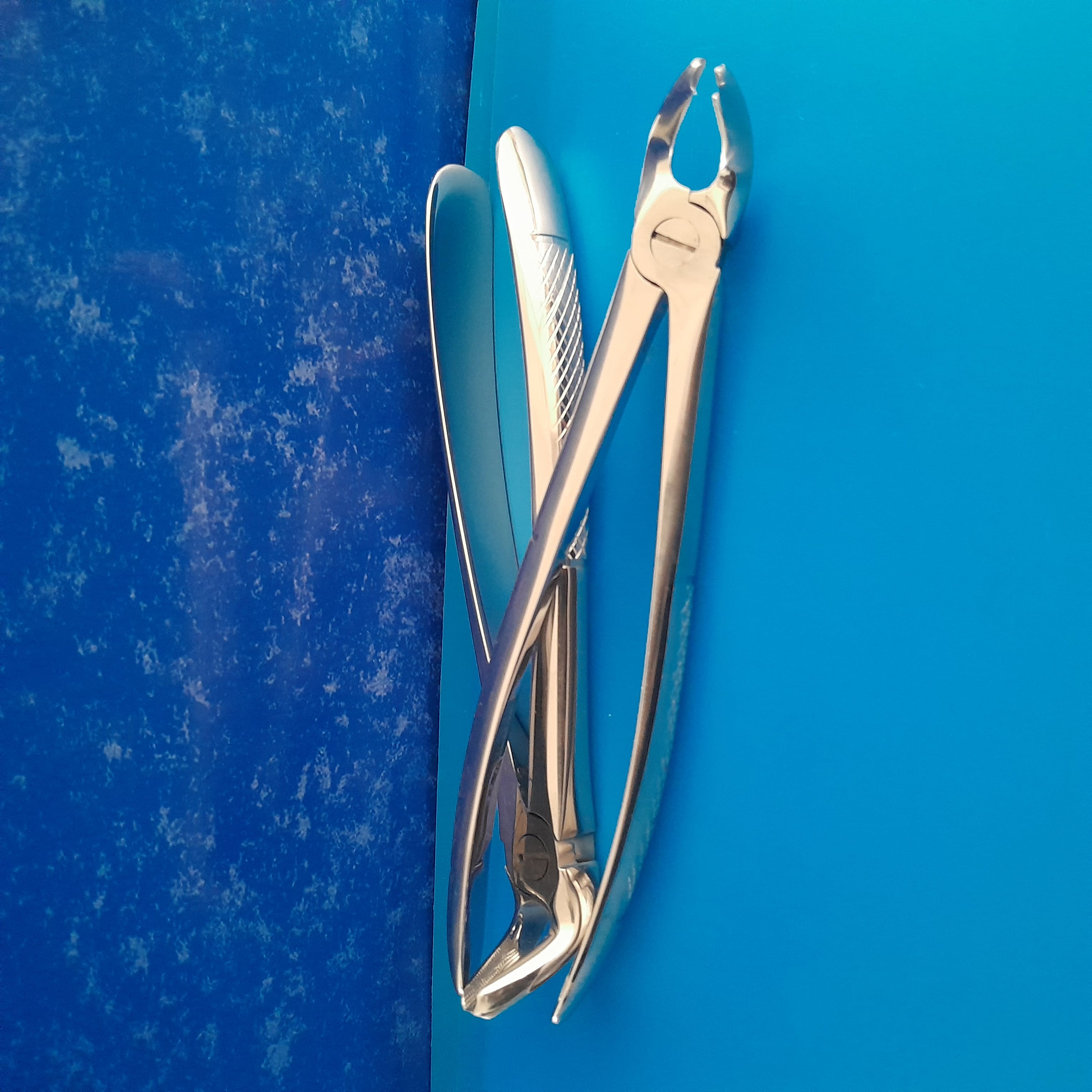 Upper Left Molar Forcep